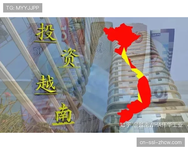 曝光度更高资产如衣袖赞助成主要受益者，预计平均交易价值将显著增长